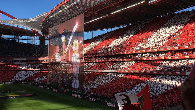Marco Silva será el nuevo técnico del Benfica